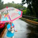 Regenschirm für Kinder / Mädchen 74cm...